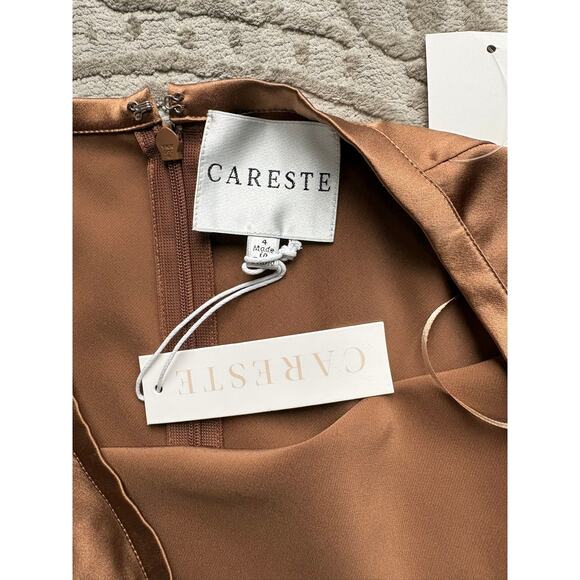 Careste Silk Midi Skirt Brown Sugar Size 4 NWT 100% Silk Nordstrom $318 - Picture 6 of 8